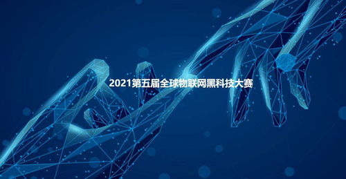 2021第五屆全球物聯(lián)網(wǎng)黑科技大賽參賽項(xiàng)目云展系列 四 網(wǎng)絡(luò)技術(shù)服務(wù)賦能未來(lái)
